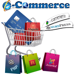 Ecommerce Website Development